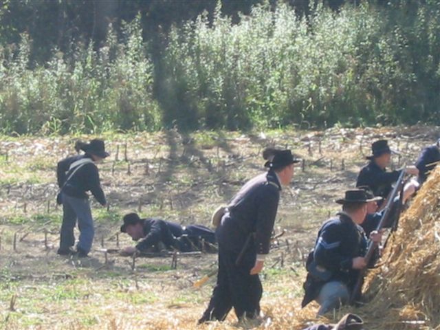 IMG_3485.JPG  (76.6 Kb)