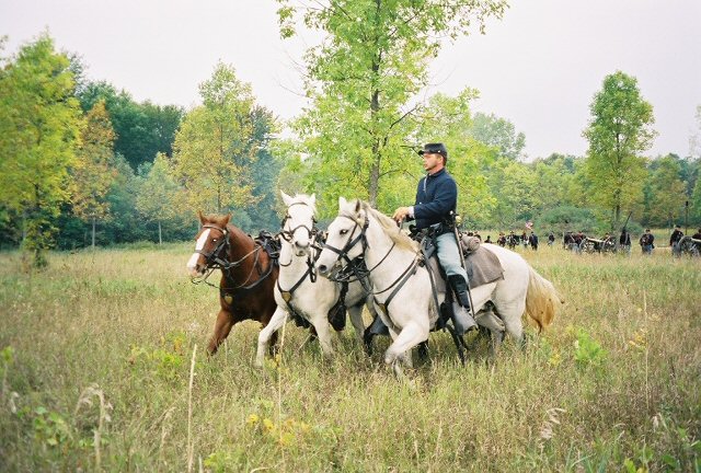 6003786-R1-019-8.jpg  (108.5 Kb)